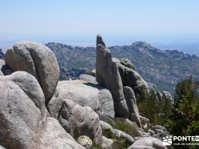 Circo de La Pedriza;excursiones a tu aire cascadas taxus baccata